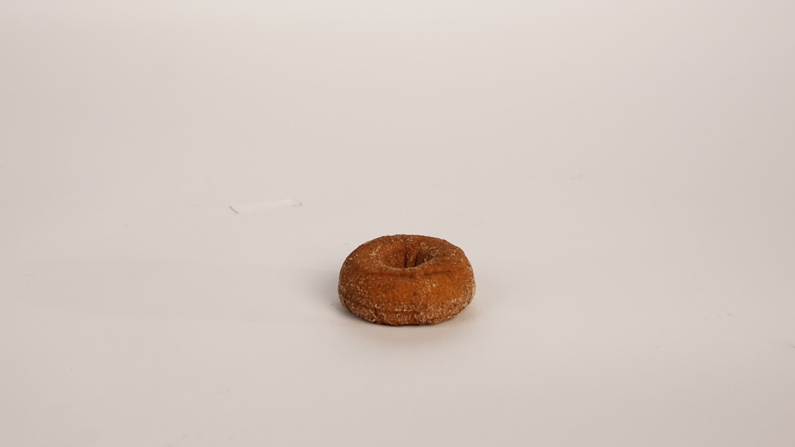CINNAMON SUGARED PUMPKIN CAKE DONUT