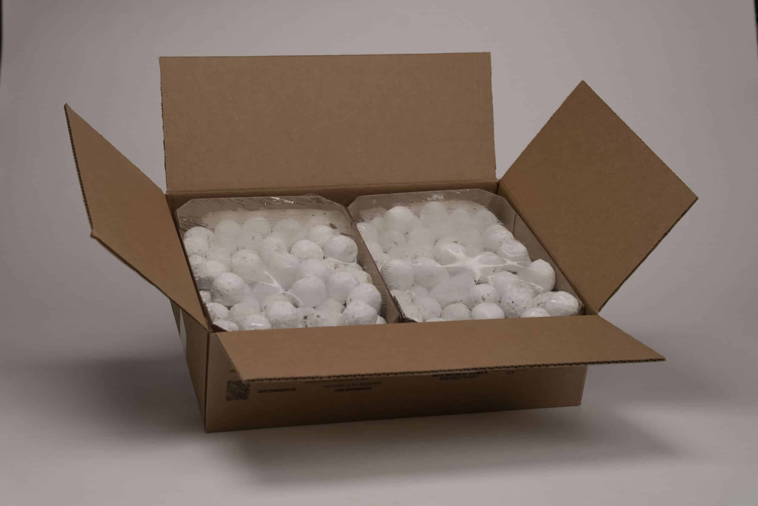 Powdered Donut Hole Bulk Pack