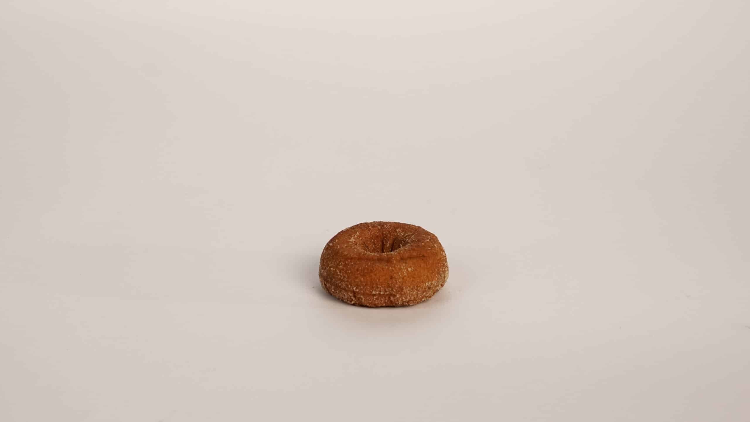 Cinnamon Sugared Pumpkin Donut 6 pack Single