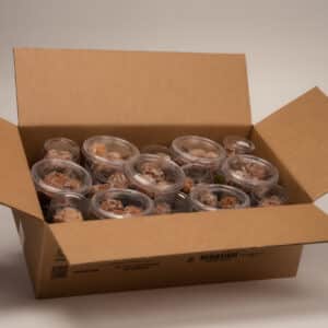 Glazed Apple Cider Donut Hole Cup Open Case